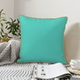 thumbnail image 6 of Haiem Teal Turquoise Print Velvet Soft Solid Decorative Square Throw Pillow Covers Set with Elegant Piping Christmas Cushion Case for Sofa Bedroom Car-18"x18", 6 of 8