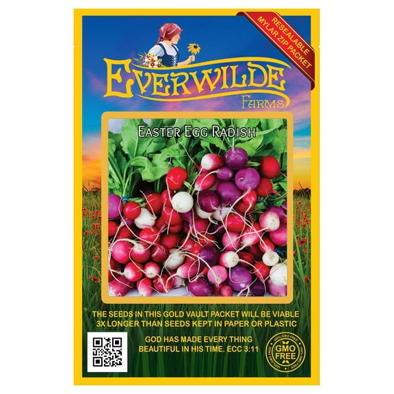 Everwilde Farms - 300 Easter Egg Radish Seeds - Gold Vault Jumbo Bulk Seed Packet