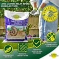 thumbnail image 5 of St. Gabriel Organics Milky Spore Granular Japanese Beetle Grub Control, 5 of 8