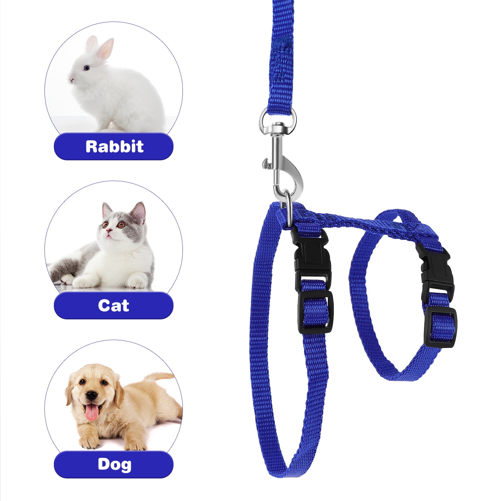 Hypeety 3er Set Hundeleinen – 5 Fuß (150 Cm) Nylon, Mit Gepolstertem Griff Für Training & Spaziergang