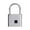 Silver, variant on PRETXORVE Padlock Fingerprint Digital Lock Portable Security For Cabinet Gym Door Luggage Suitcase Lockers Backpack