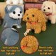 thumbnail image 5 of Juguete de Peluche Electrónico Que Camina y Ladra para Perros, Interactivo, para Niños Pequeños, Husky, 5 of 7