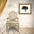 thumbnail image 3 of Koetsier, Albert 24x19 Gold Ornate Wood Framed with Double Matting Museum Art Print Titled - Hydrangea  Bunch In BandW, 3 of 4
