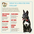 thumbnail image 3 of Country Brook Petz® Deluxe Summer Pines Ribbon Dog Collar, Extra Large, 3 of 6