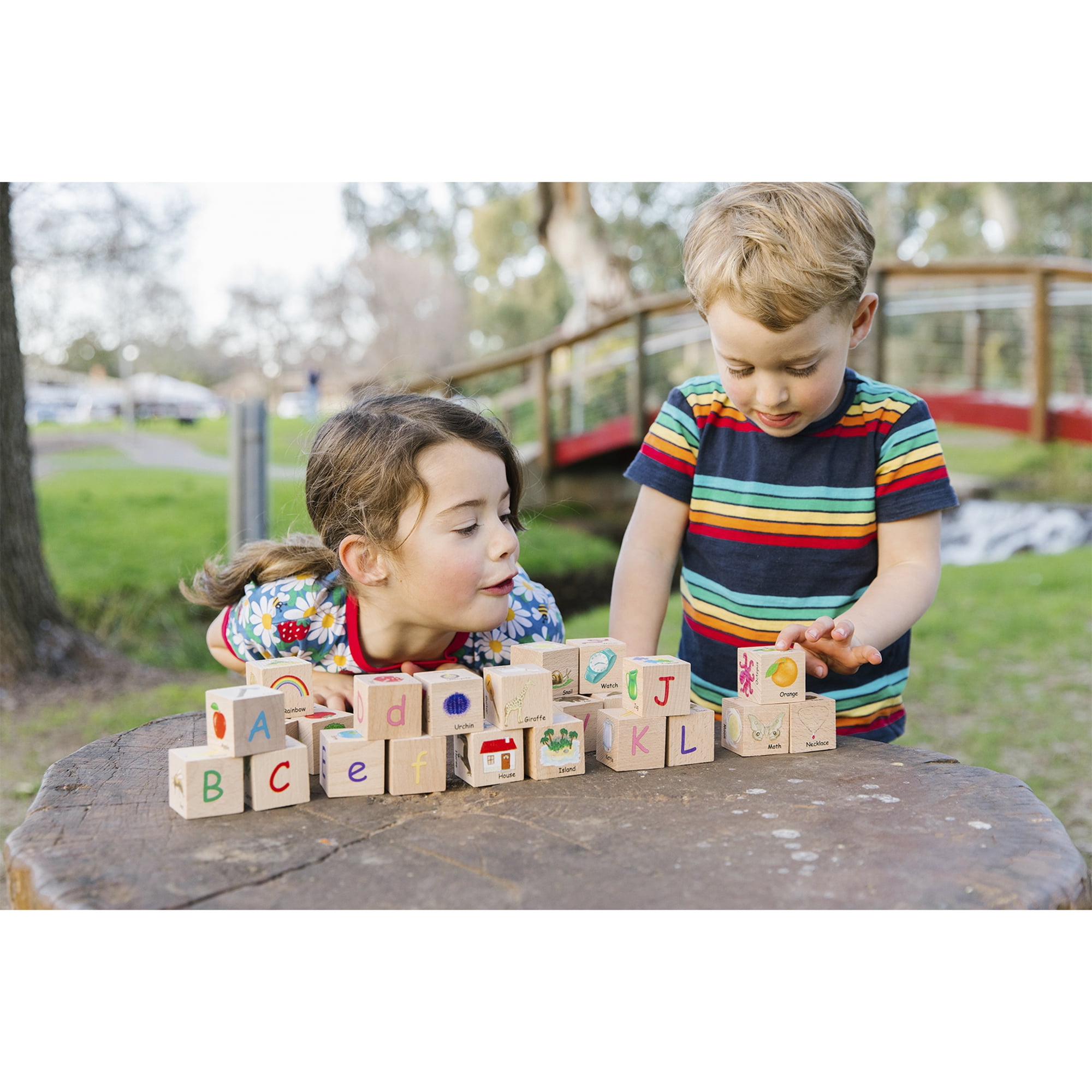 The Freckled Frog ABC Blocks