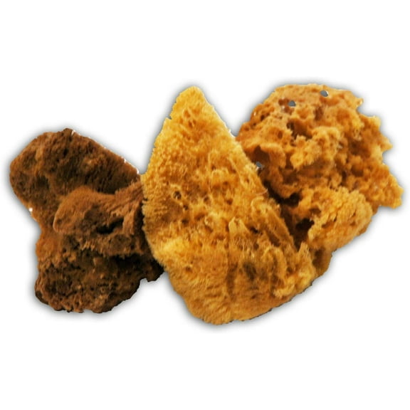 Trimaco SuperTuff Natural Grass Sea Sponge, 6-7-inches