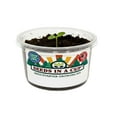 thumbnail image 3 of Brussel Sprouts | Vegetable Seed | Plant Starter Grow Kit| Seeds In A Cup®, 3 of 9