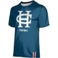 thumbnail image 2 of Men's ProSphere Blue Hanover Panthers Football Logo Stripe T-Shirt, 2 of 3