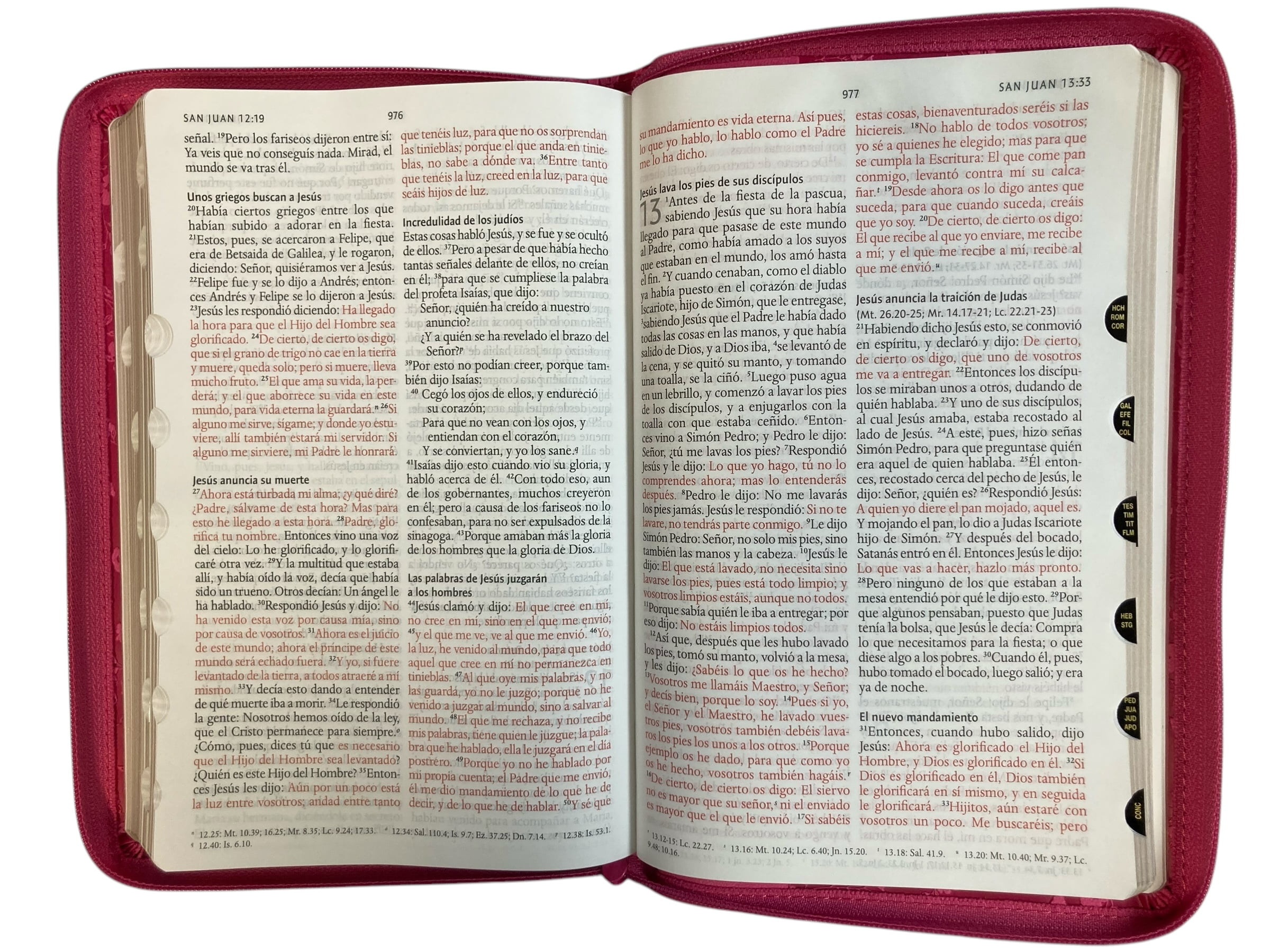 Biblia Reina Valera 1960 letra grande. Símil piel fucsia, cremallera, índice, manual / Spanish Bible RVR 1960. Handy Size, Large Print, Leathersoft