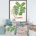 thumbnail image 2 of Designart 'Ancient Botanicals VII' Farmhouse Framed Canvas Wall Art Print, 2 of 5