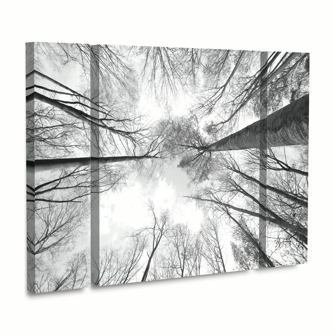 Trademark Fine Art 'Recall the Days' Canvas Art by Philippe Sainte-Laudy