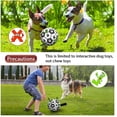 thumbnail image 2 of Juguetes interactivos para perros con etiquetas - Pelotas duraderas para perros pequeños y medianos - Juguetes acuáticos para interiores y exteriores, 2 of 5