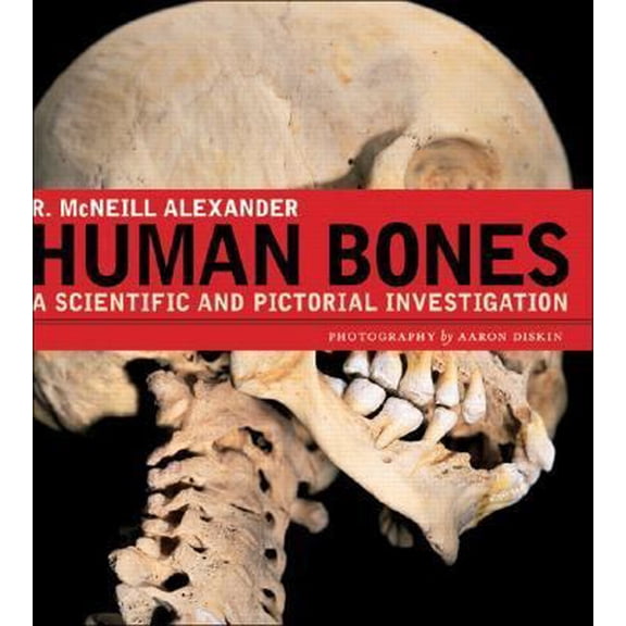 Pre-Owned Human Bones: A Scientific and Pictorial Investigation (Hardcover) 0131479407 9780131479401