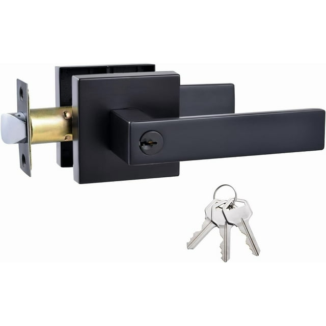 Straight Style Door Lever KeyedAlike Entry Function Door Handle Exterior Interior Entry Lock with Keys Matte Door Handleset