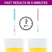 Combo Pack Early Pregnancy and Ovulation Tests LH Kit, Rapid Test, Accurate Results