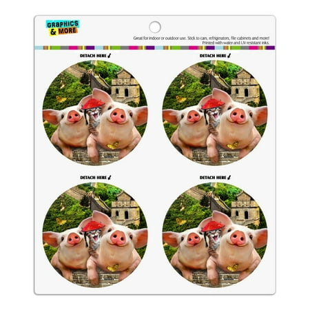 

Great Wall of China Selfie Pigs Kitten Refrigerator Fridge Locker Vinyl Circle Magnet Set