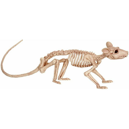 Official Crazybonez Faux Rat Skeleton
