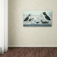 thumbnail image 4 of Trademark Fine Art "Black-Throated Guillemot" Canvas Art by John James Audubon, 4 of 4