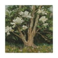 thumbnail image 1 of Magnolia of Abstraction - Canvas, 1 of 10