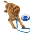 thumbnail image 5 of Lilo & Stitch Collier pour Chien (Lot de 4), 5 of 5