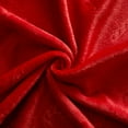 thumbnail image 5 of (2 pack) Holiday Time 50"x60" Red Candy Cane Plush Throw, All Ages, 5 of 6