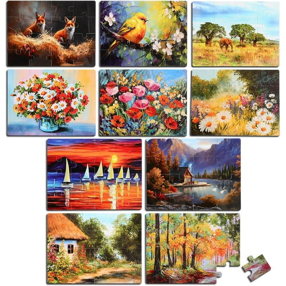 10 Pack 16 Piece Large Jigsaw Dementia Puzzles for Alzheimers Senior Easy Puzzles Dementia Products for Elderly Adults Gifts Memory Cognitive Games Christmas Activities, 9.45 x 12.6 Inch(Vivid)