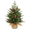 thumbnail image 1 of National Tree Company PENS1-355-20-B1 2' Sentir Vrai (R) Épicéa Nordique Petit Arbre avec des Cônes et des Baies Rouges en Toile de Jute avec 50 Lumières LED Blanc Chaud W / Timer, 1 of 2