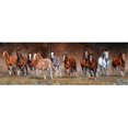 thumbnail image 1 of 5D DIY Diamond Painting Kits Full Round Drill Animal Mosaic Picture Decoración de pared FLhrweasw Nuevo, 1 of 9
