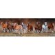 thumbnail image 2 of Cuadros Decorativos 5D DIY diamante pintura completo redondo taladro animal mosaico pared imagen decoración Ndcxsfigh Nuevos Originales, 2 of 5