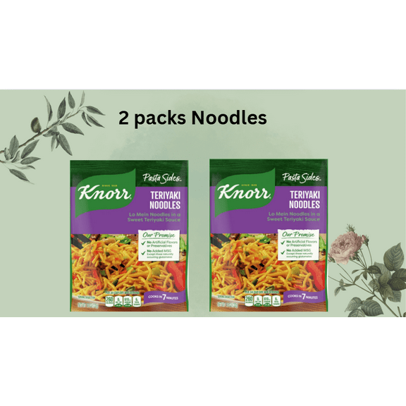 Knorr Pasta Sides Teriyaki Lo Mein Noodles, No Artificial Flavors, 4.6 oz, 2 Pouches