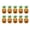 A006- Clear (10pc), variant on Outdoor Holiday Decorations, Inflatable Halloween Decorations Outdoor, Pineapple Decorations, Tropical Outdoor Decor, 4 Pack One Size Inflatable Pineapple Skull Jack-O-Lantern for