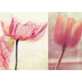 thumbnail image 2 of Soffia, Myan 32x24 White Modern Wood Framed Museum Art Print Titled - Poppy and Tulip, 2 of 4