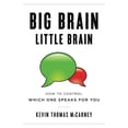 thumbnail image 1 of Pre-Owned Big Brain Little Brain: How to Control Which One Speaks for You (Paperback) 1544517564 9781544517568, 1 of 1