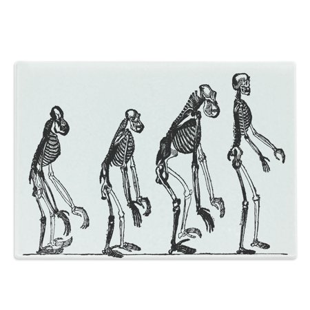 

Skeleton Cutting Board Evolution Themed Graphic with Ape to Man Vintage Engraved Drawn Decorative Tempered Glass Cutting and Serving Board in 3 Sizes by Ambesonne