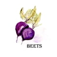 thumbnail image 2 of Chapman, Marcy 15x18 Black Ornate Wood Framed with Double Matting Museum Art Print Titled - Veggie Sketch  III-Beets, 2 of 4