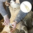 thumbnail image 6 of 2Pcs Sheep Hoof Trimmer Stainless Steel Sheep Hoof Cutter Grooved Sheep Hoof Clipper with Spring Large Opening Sheep Hoof Shears Efficient Sheep Hoof Trimmer Suitable for Goats, 6 of 8