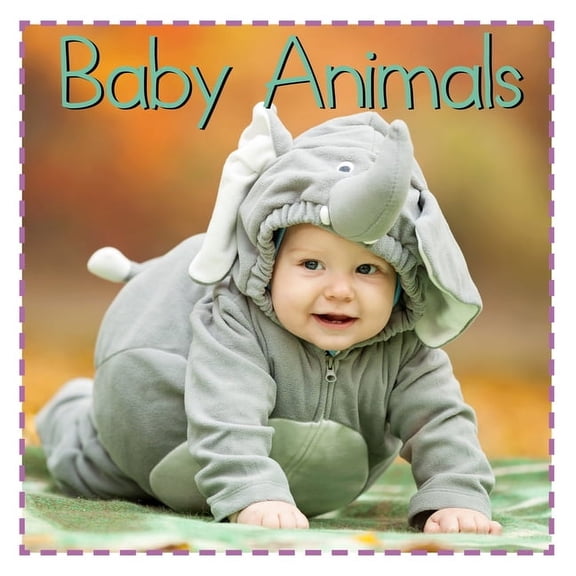 Baby Firsts Baby Animals, (Board Book)