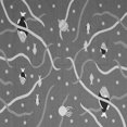 thumbnail image 1 of Ahgly Company Indoor Square Abstract Gray Contemporary Area Rugs, 7' Square, 1 of 1