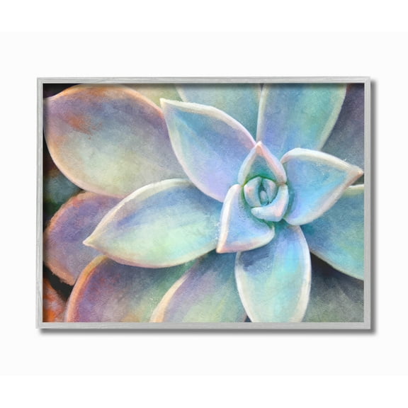 The Stupell Home Decor Succulent Plant Vibrant Bloom Painting Gray Framed Texturized Art