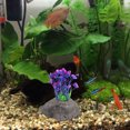 thumbnail image 3 of IDEANATEGRATE 10Ud Adorno Acuario Fijador Para Pecera, 3 of 6
