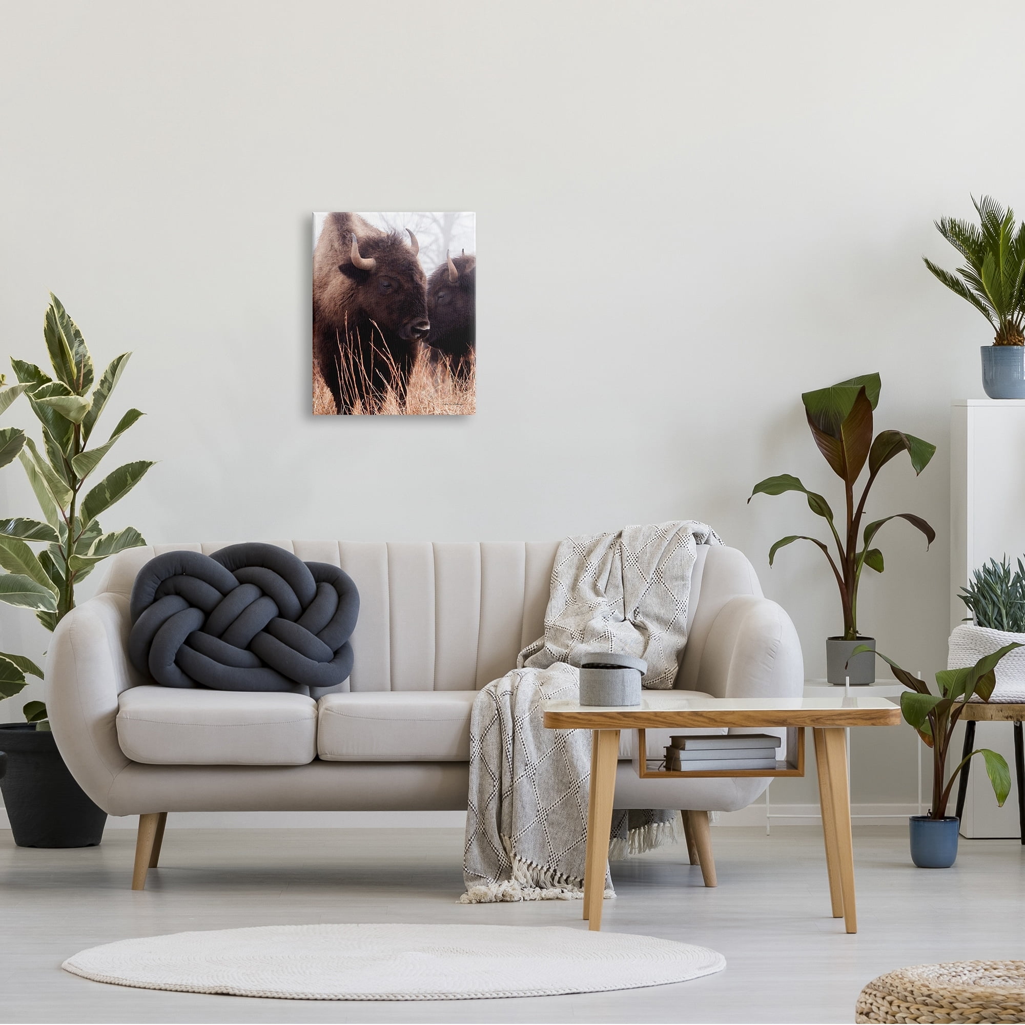 Stupell Industries Bison Cattle Couple Tall Grass Autumn Country Photography, 36 x 48,Design by Debra Van Swearingen