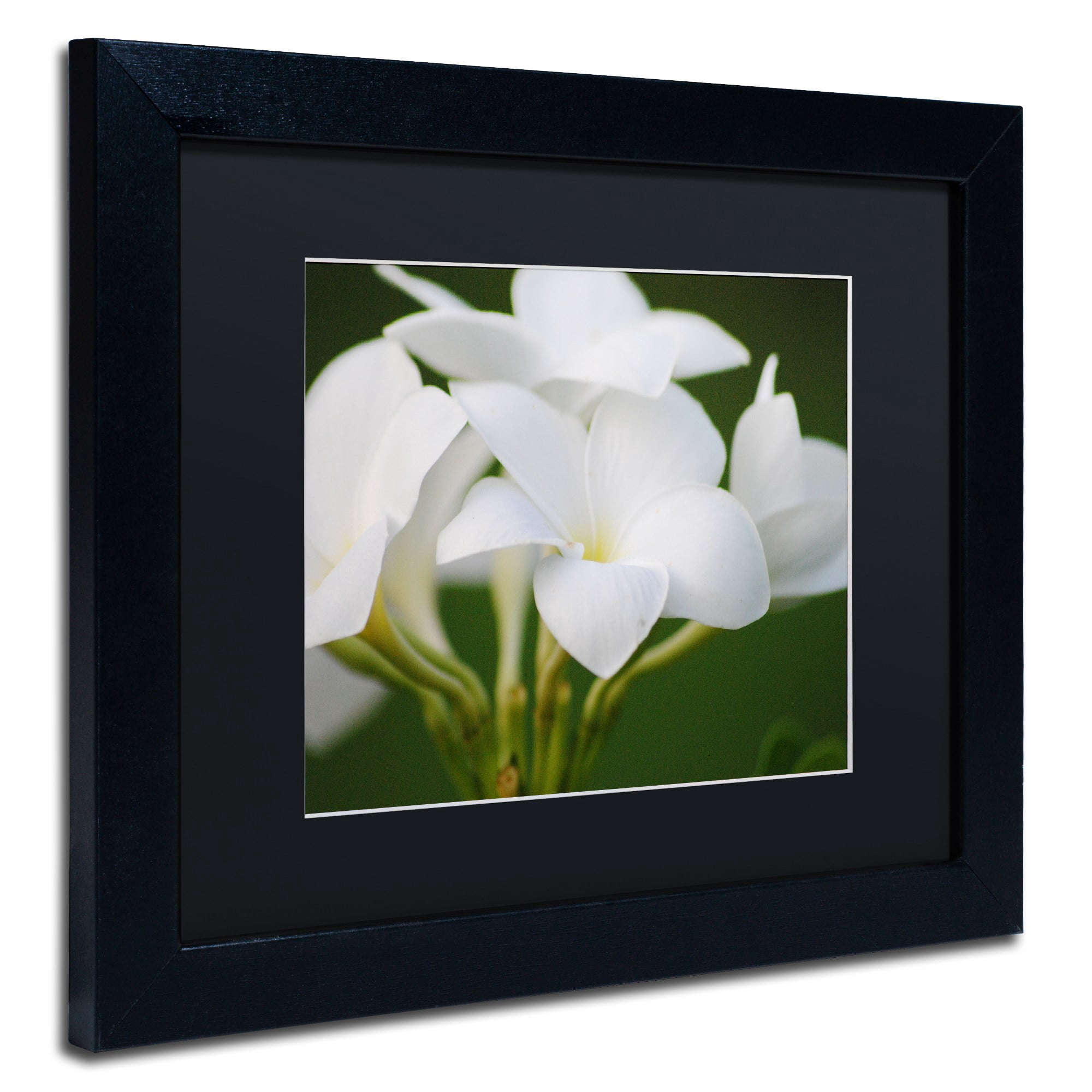 Trademark Fine Art "Picture Perfect" Canvas Art by Monica Mize, Black Matte, Black Frame