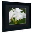 thumbnail image 3 of Trademark Fine Art "Picture Perfect" Canvas Art by Monica Mize, Black Matte, Black Frame, 3 of 4