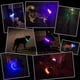 thumbnail image 5 of Collar con luz LED para perros, collar de seguridad para mascotas de longitud ajustable y recargable por USB para perros y gatos, 5 of 5