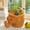 Elephant, variant on Handmade Wicker Animal Storage Basket Set, Cute Rattan Organizer for Toys, Snacks, Decorative Kids Room & Home Storage