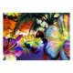 thumbnail image 1 of Cuadros Decorativos (DF3229) DIY deslumbrante diamante pintura cuadrado diamante bordado dibujo arte decoración 20X30cm Ehuebsd embutido en tela, 1 of 1
