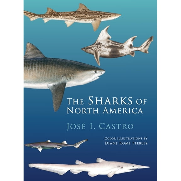 Sharks of North America, (Hardcover)