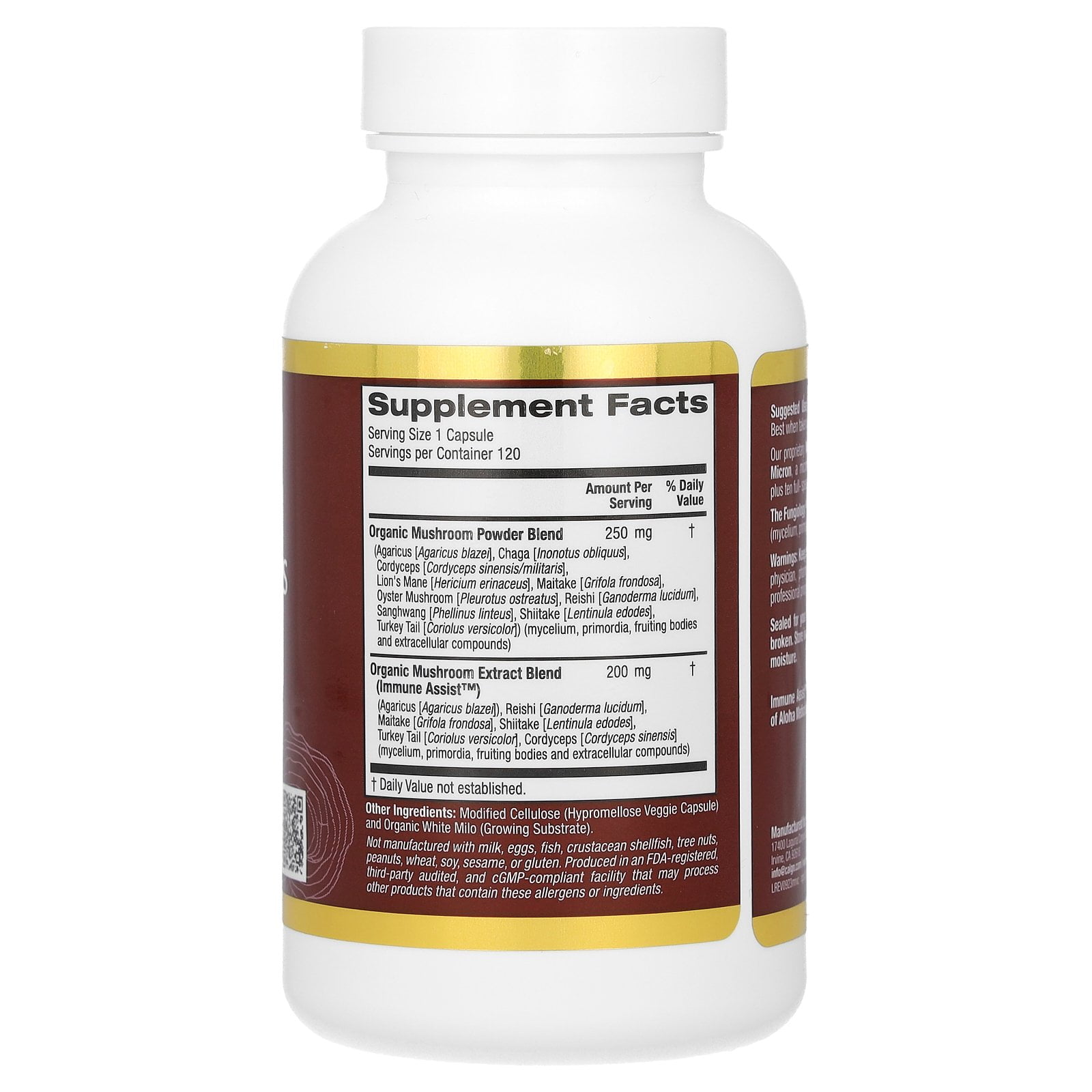 mushroom　0120 Square One - Mushroom Carpet | Shaw Floors