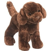 Sylvia Chocolate Lab 8 by Douglas