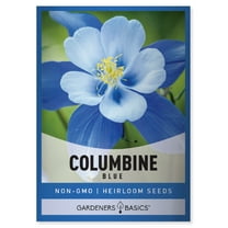 Blue Columbine Seeds